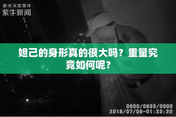 妲己的身形真的很大吗？重量究竟如何呢？
