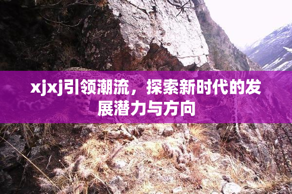 xjxj引领潮流，探索新时代的发展潜力与方向
