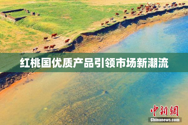 红桃国优质产品引领市场新潮流