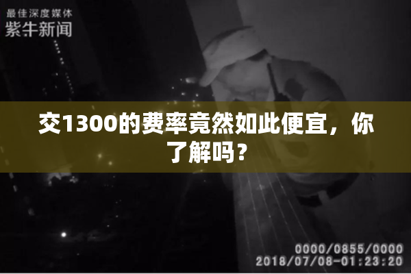 交1300的费率竟然如此便宜，你了解吗？
