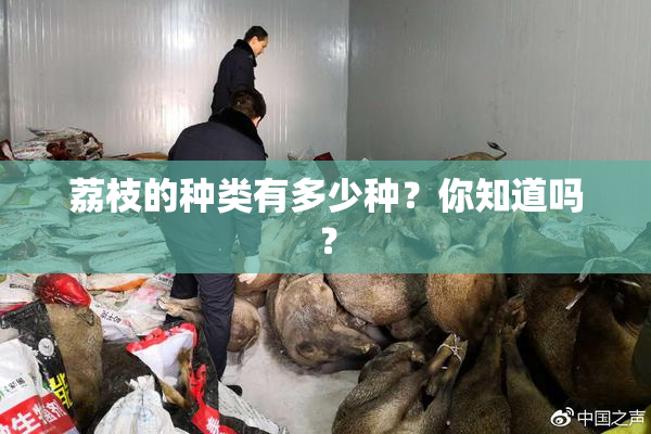 荔枝的种类有多少种？你知道吗？