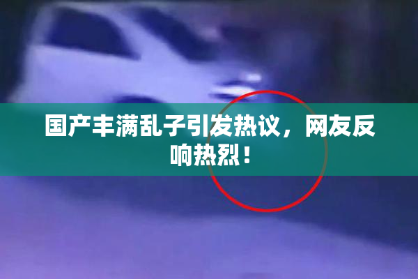国产丰满乱子引发热议，网友反响热烈！