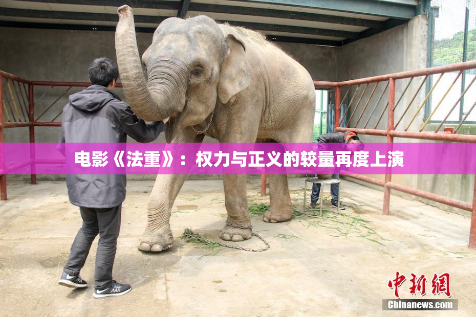电影《法重》：权力与正义的较量再度上演