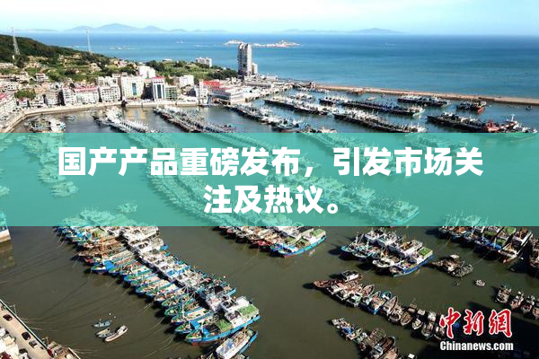 国产产品重磅发布，引发市场关注及热议。