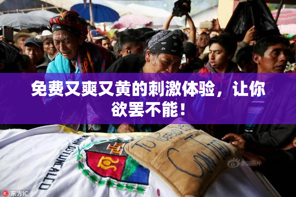 免费又爽又黄的刺激体验，让你欲罢不能！
