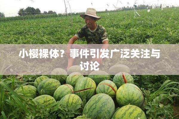 小樱裸体？事件引发广泛关注与讨论