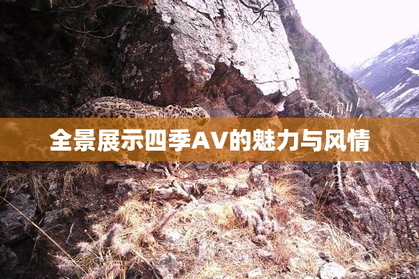 全景展示四季AV的魅力与风情