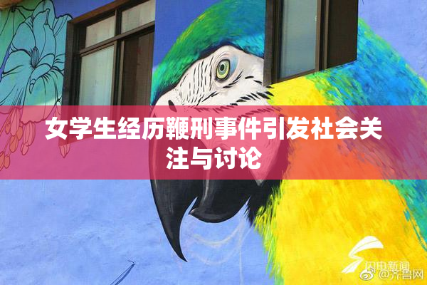 女学生经历鞭刑事件引发社会关注与讨论
