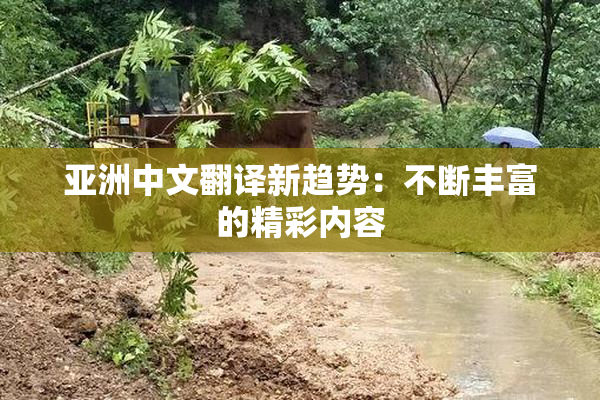 亚洲中文翻译新趋势：不断丰富的精彩内容