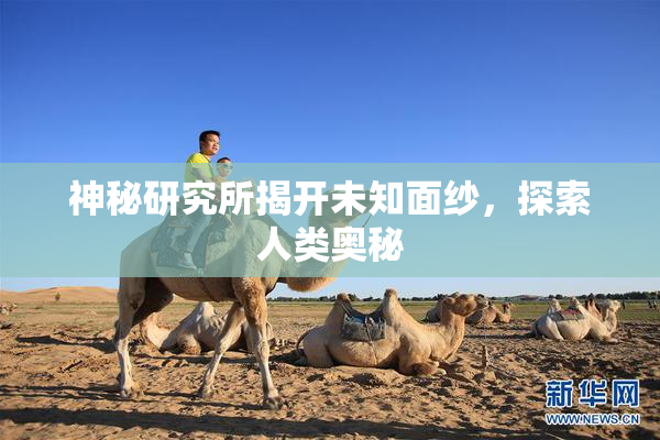 神秘研究所揭开未知面纱，探索人类奥秘