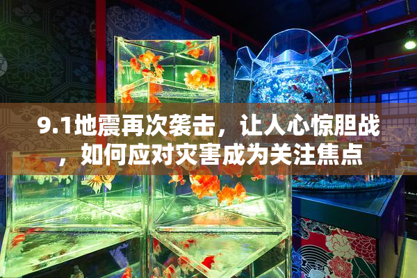 9.1地震再次袭击，让人心惊胆战，如何应对灾害成为关注焦点