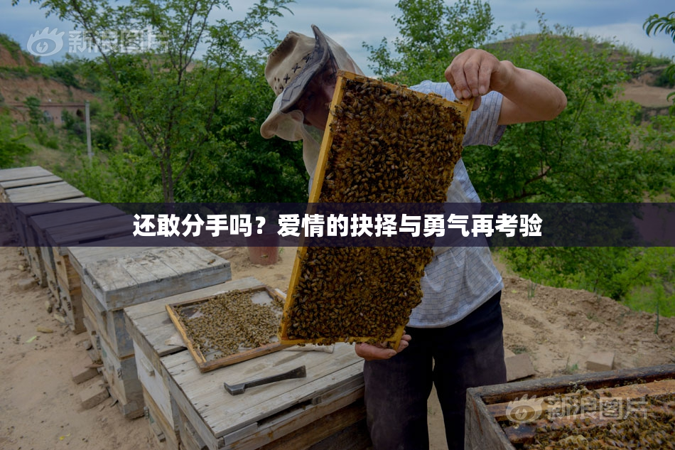 还敢分手吗？爱情的抉择与勇气再考验
