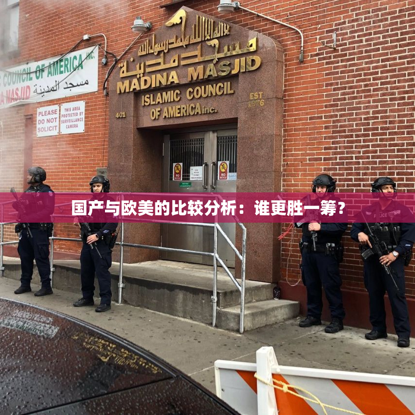 国产与欧美的比较分析：谁更胜一筹？
