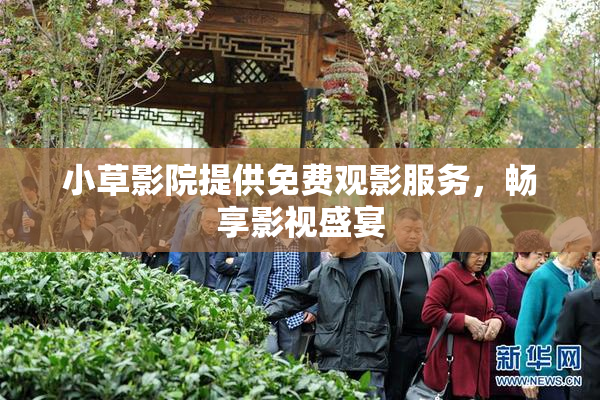 小草影院提供免费观影服务，畅享影视盛宴