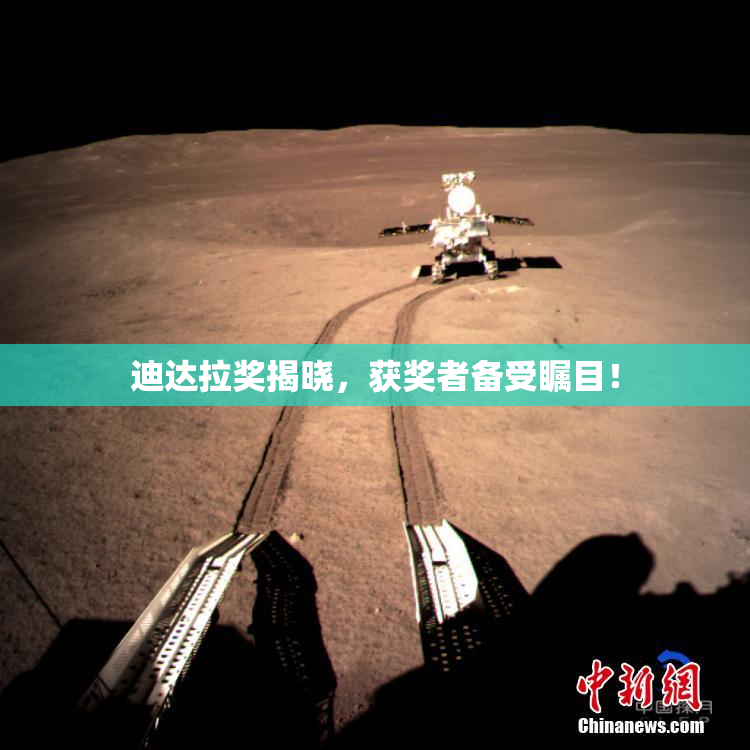 迪达拉奖揭晓，获奖者备受瞩目！