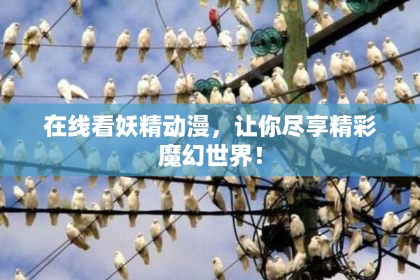 在线看妖精动漫，让你尽享精彩魔幻世界！