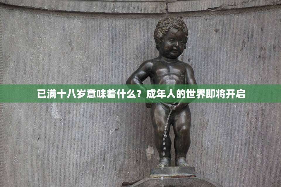 已满十八岁意味着什么？成年人的世界即将开启