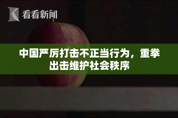 中国严厉打击不正当行为，重拳出击维护社会秩序