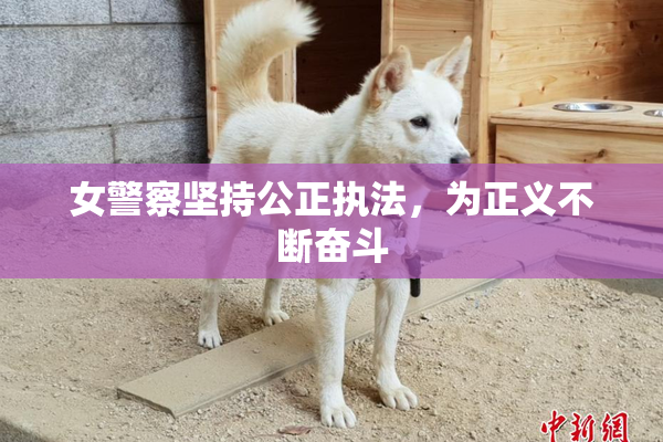 女警察坚持公正执法，为正义不断奋斗