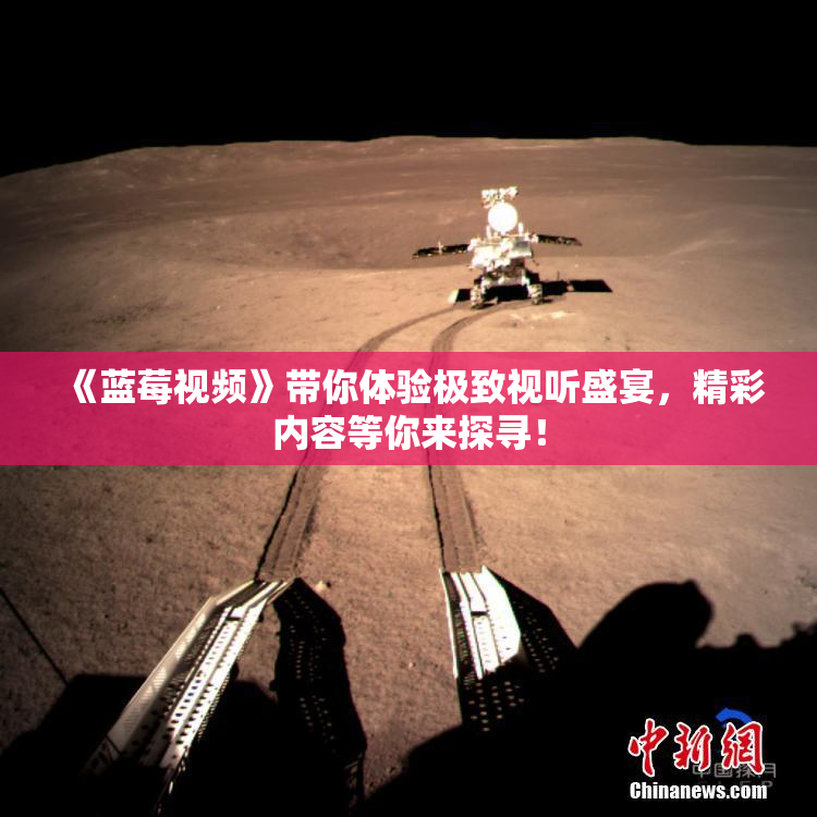 《蓝莓视频》带你体验极致视听盛宴，精彩内容等你来探寻！