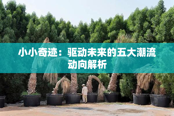 小小奇迹：驱动未来的五大潮流动向解析