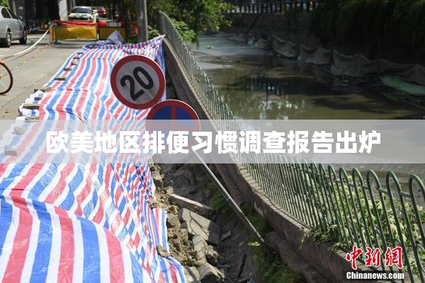欧美地区排便习惯调查报告出炉