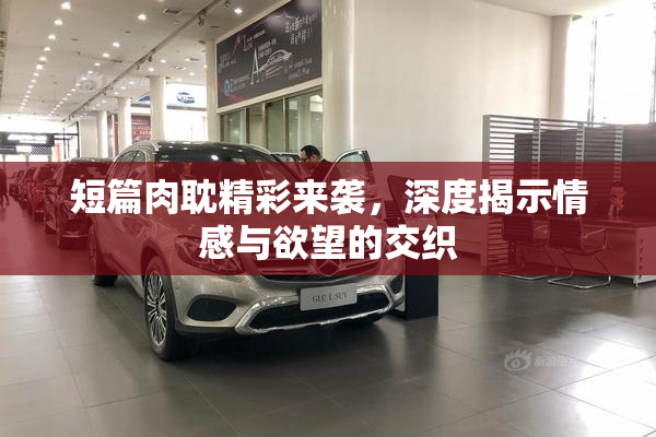 短篇肉耽精彩来袭，深度揭示情感与欲望的交织