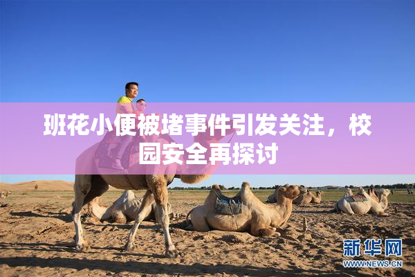班花小便被堵事件引发关注，校园安全再探讨