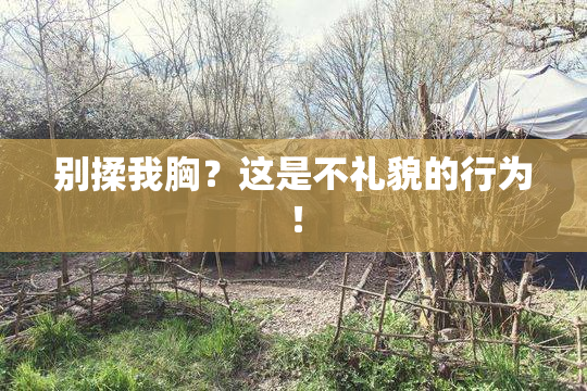 别揉我胸？这是不礼貌的行为！