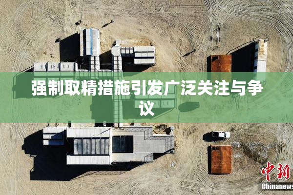 强制取精措施引发广泛关注与争议