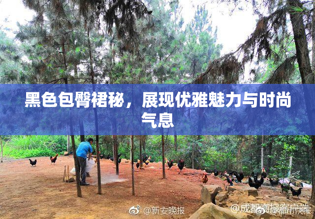 黑色包臀裙秘，展现优雅魅力与时尚气息