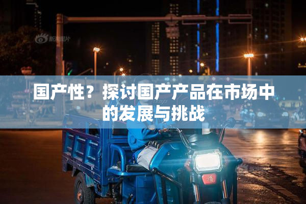 国产性？探讨国产产品在市场中的发展与挑战