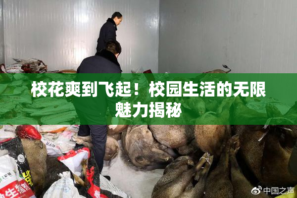校花爽到飞起！校园生活的无限魅力揭秘