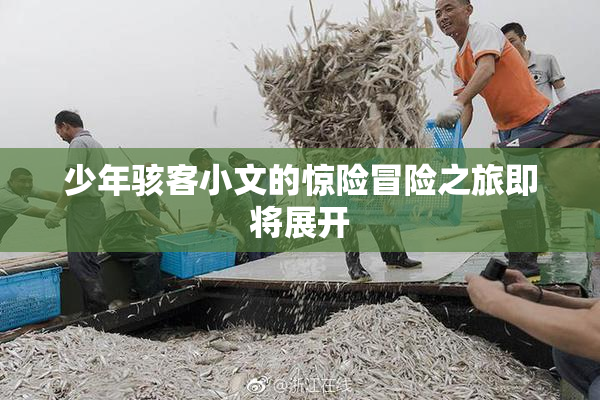 少年骇客小文的惊险冒险之旅即将展开