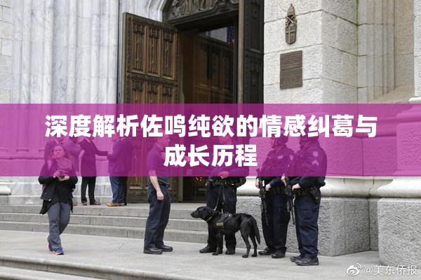 深度解析佐鸣纯欲的情感纠葛与成长历程