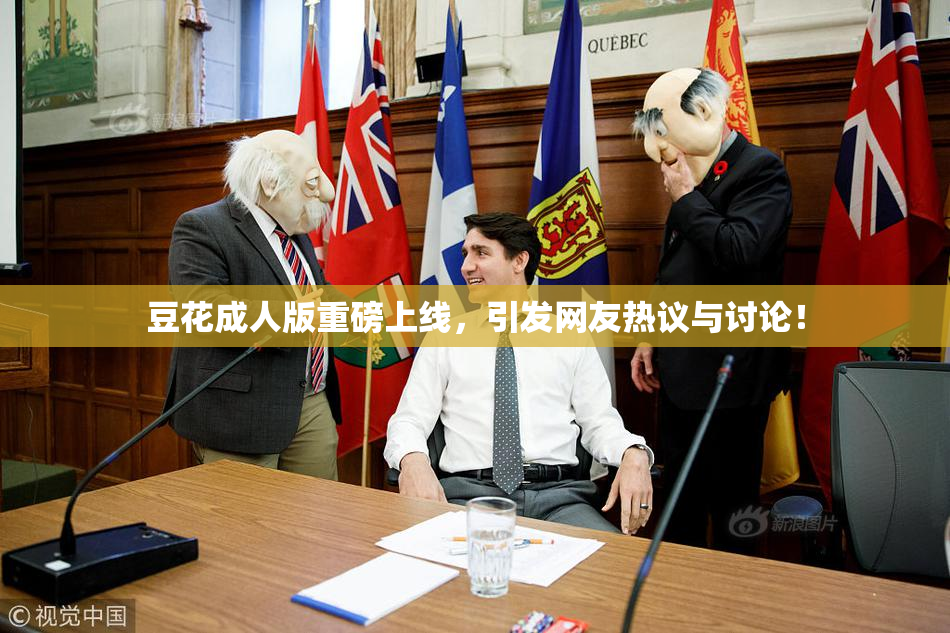 豆花成人版重磅上线，引发网友热议与讨论！
