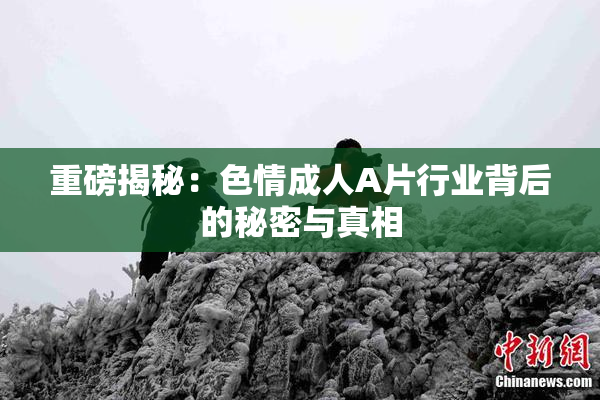 重磅揭秘：色情成人A片行业背后的秘密与真相