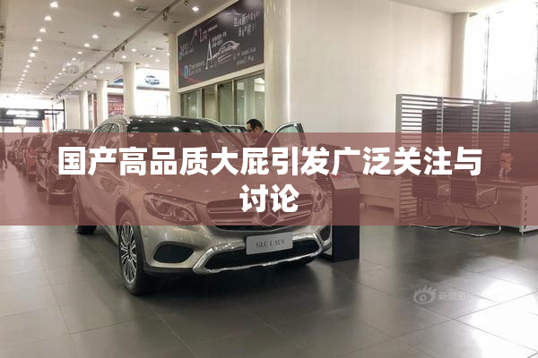 国产高品质大屁引发广泛关注与讨论