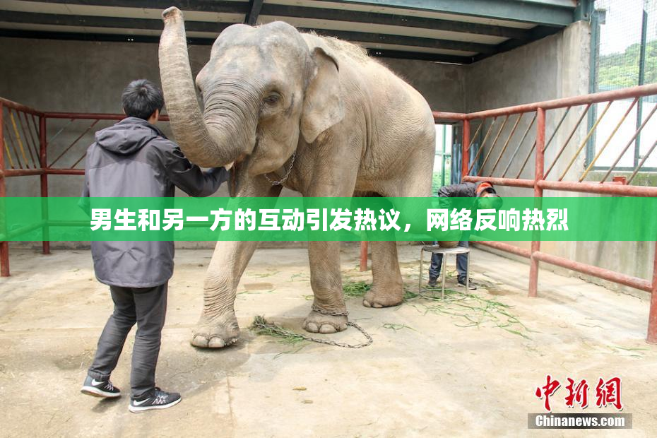 男生和另一方的互动引发热议，网络反响热烈