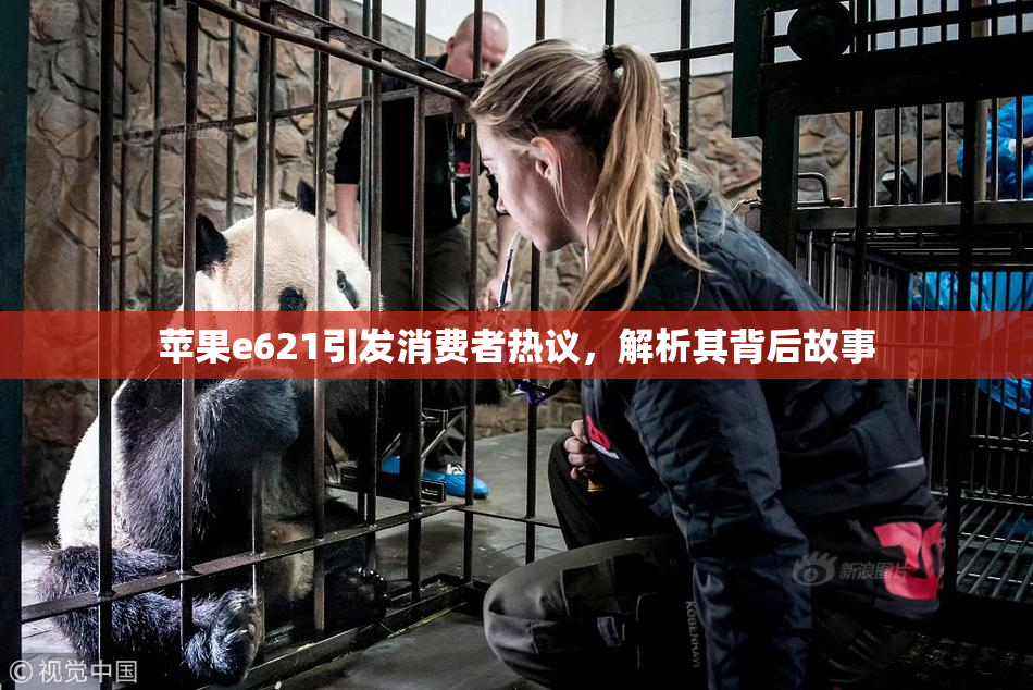 苹果e621引发消费者热议，解析其背后故事