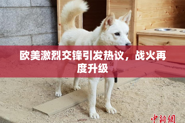 欧美激烈交锋引发热议，战火再度升级