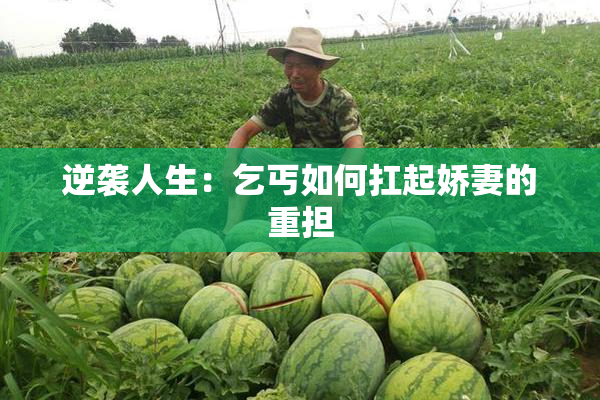 逆袭人生：乞丐如何扛起娇妻的重担