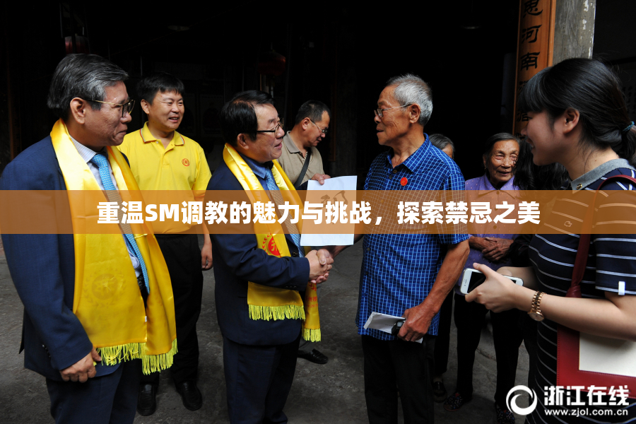 重温SM调教的魅力与挑战，探索禁忌之美