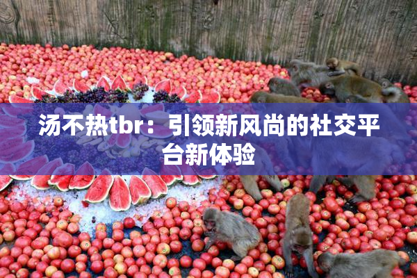 汤不热tbr：引领新风尚的社交平台新体验