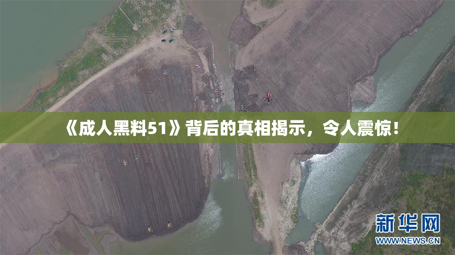 《成人黑料51》背后的真相揭示，令人震惊！