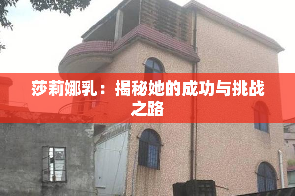 莎莉娜乳：揭秘她的成功与挑战之路