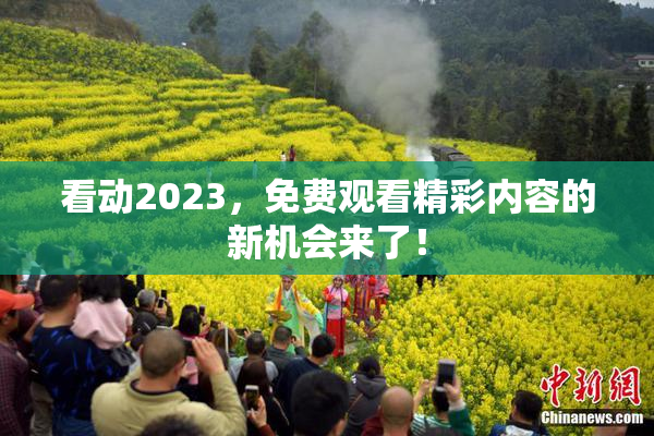 看动2023，免费观看精彩内容的新机会来了！