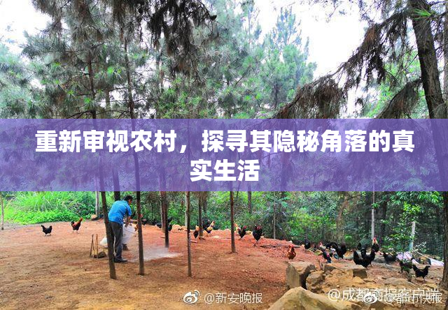 重新审视农村，探寻其隐秘角落的真实生活