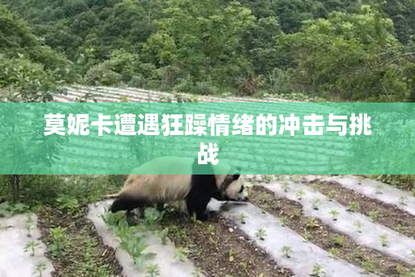 莫妮卡遭遇狂躁情绪的冲击与挑战
