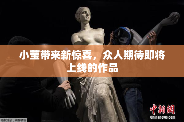 小莹带来新惊喜，众人期待即将上线的作品